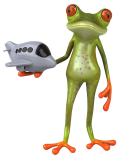 Pret personnel pour des vacances grenouille